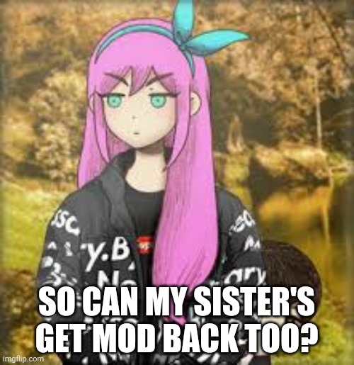 -BlueJay- and Kawaii_Aria | SO CAN MY SISTER'S GET MOD BACK TOO? | image tagged in aubrey drip | made w/ Imgflip meme maker