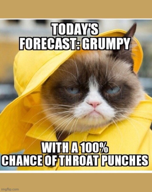 Grumpy has spoken | image tagged in grumpy cat,rules | made w/ Imgflip meme maker