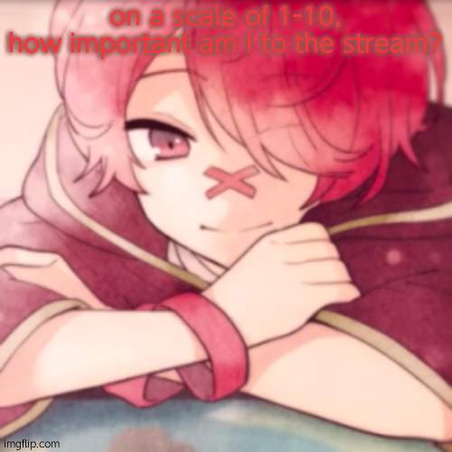 on a scale of 1-10,
how important am I to the stream? | image tagged in smug boy | made w/ Imgflip meme maker