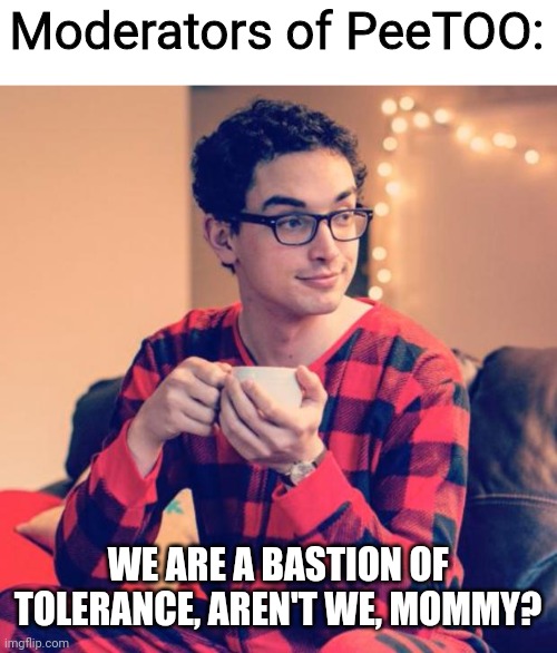 Pajama Boy | Moderators of PeeTOO: WE ARE A BASTION OF TOLERANCE, AREN'T WE, MOMMY? | image tagged in pajama boy | made w/ Imgflip meme maker