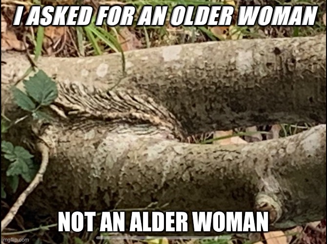 West coast problems | I ASKED FOR AN OLDER WOMAN; NOT AN ALDER WOMAN | image tagged in west coast problems | made w/ Imgflip meme maker