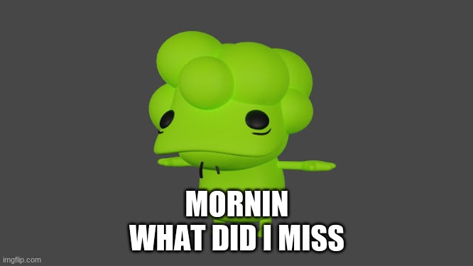 Doobus Goobus T Pose | MORNIN
WHAT DID I MISS | image tagged in doobus goobus t pose | made w/ Imgflip meme maker