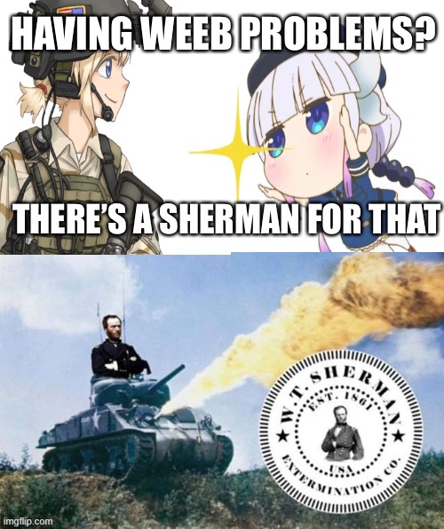 White supremacist problems | THERE’S A SHERMAN FOR THAT HAVING WEEB PROBLEMS? | image tagged in white supremacist problems | made w/ Imgflip meme maker