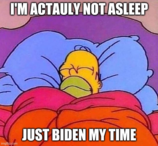 Homer Simpson sleeping peacefully | I'M ACTAULY NOT ASLEEP; JUST BIDEN MY TIME | image tagged in homer simpson sleeping peacefully | made w/ Imgflip meme maker