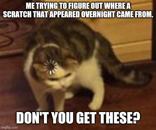 Do u get these on you? | ME TRYING TO FIGURE OUT WHERE A SCRATCH THAT APPEARED OVERNIGHT CAME FROM. DON'T YOU GET THESE? | image tagged in loading cat,memes,funny,relatable,oh wow are you actually reading these tags,stop reading the tags | made w/ Imgflip meme maker