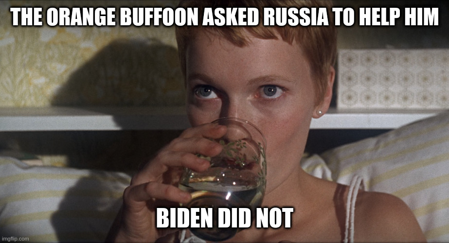 Rosemary just has intense undeniable attitude today | THE ORANGE BUFFOON ASKED RUSSIA TO HELP HIM; BIDEN DID NOT | image tagged in rosemary | made w/ Imgflip meme maker