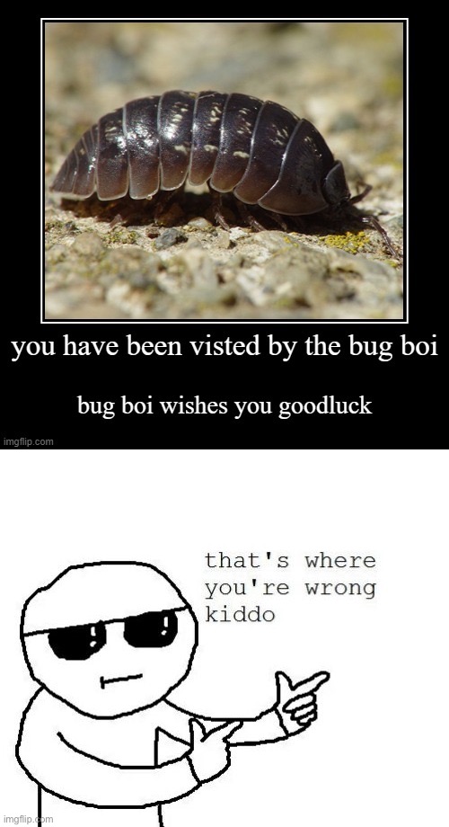 It ain’t a bug  | image tagged in that's where you're wrong kiddo | made w/ Imgflip meme maker