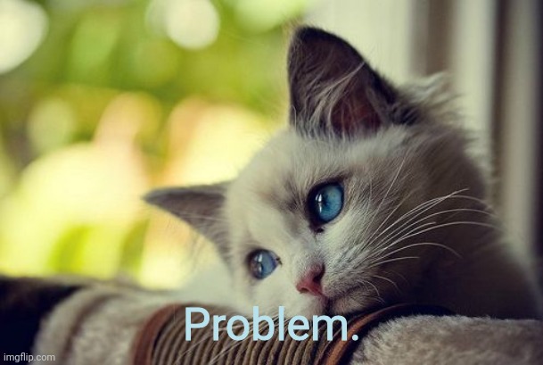 First World Problems Cat Meme | Problem. | image tagged in memes,first world problems cat | made w/ Imgflip meme maker