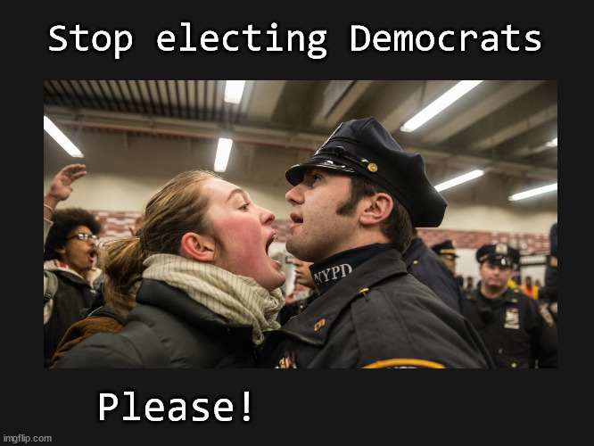 Stop electing Democrats | Stop electing Democrats; Please! | image tagged in defund police | made w/ Imgflip meme maker