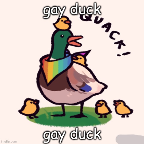 give the gay duck love | gay duck; gay duck | image tagged in gay,duck | made w/ Imgflip meme maker