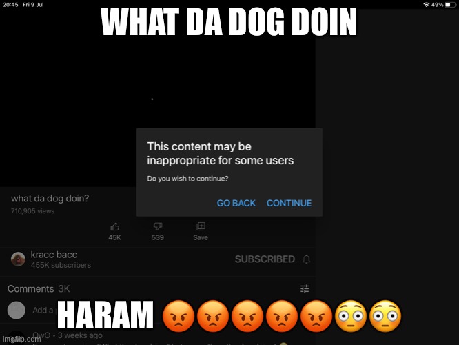 me when | WHAT DA DOG DOIN; HARAM 😡😡😡😡😡😳😳 | image tagged in halal | made w/ Imgflip meme maker