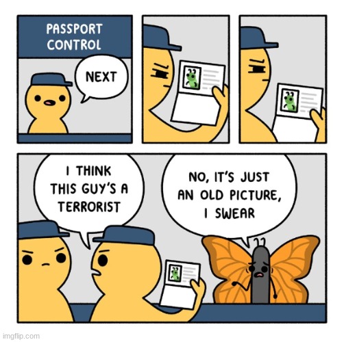 papers please | image tagged in comics/cartoons,butterfly,passport | made w/ Imgflip meme maker