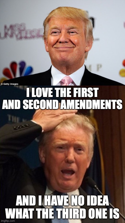 I LOVE THE FIRST AND SECOND AMENDMENTS; AND I HAVE NO IDEA WHAT THE THIRD ONE IS | image tagged in donald trump approves,trump confused | made w/ Imgflip meme maker