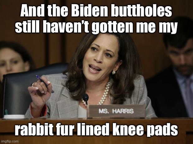 Kamala Harris | And the Biden buttholes still haven’t gotten me my rabbit fur lined knee pads | image tagged in kamala harris | made w/ Imgflip meme maker