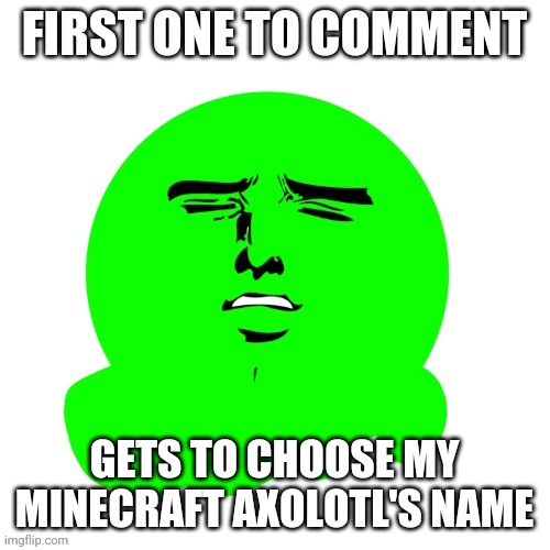 E | FIRST ONE TO COMMENT; GETS TO CHOOSE MY MINECRAFT AXOLOTL'S NAME | image tagged in yakanari slime | made w/ Imgflip meme maker