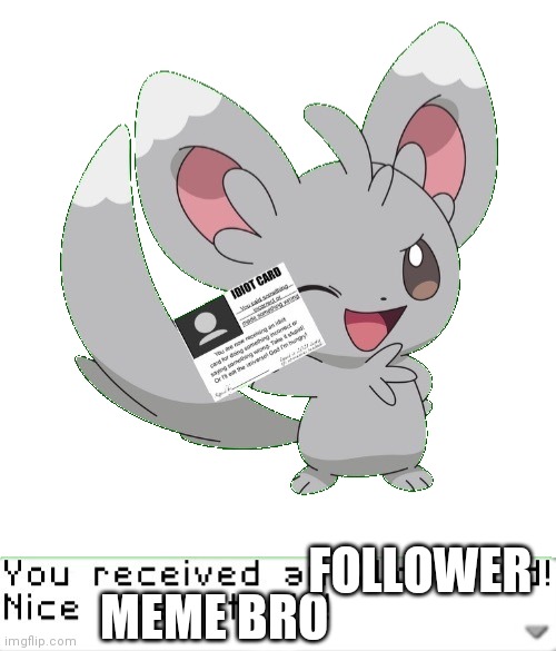 You received an idiot card! | MEME BRO FOLLOWER | image tagged in you received an idiot card | made w/ Imgflip meme maker