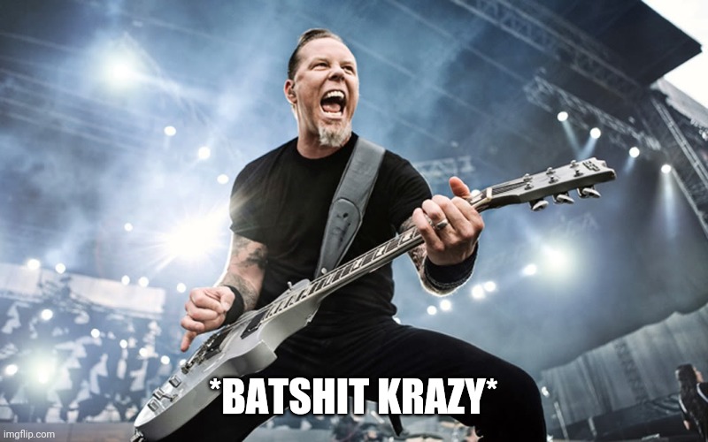 James Hetfield Yelling | *BATSHIT KRAZY* | image tagged in james hetfield yelling | made w/ Imgflip meme maker