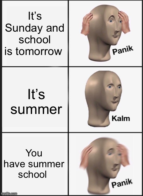 Just why? | It’s Sunday and school is tomorrow; It’s summer; You have summer school | image tagged in memes,panik kalm panik | made w/ Imgflip meme maker