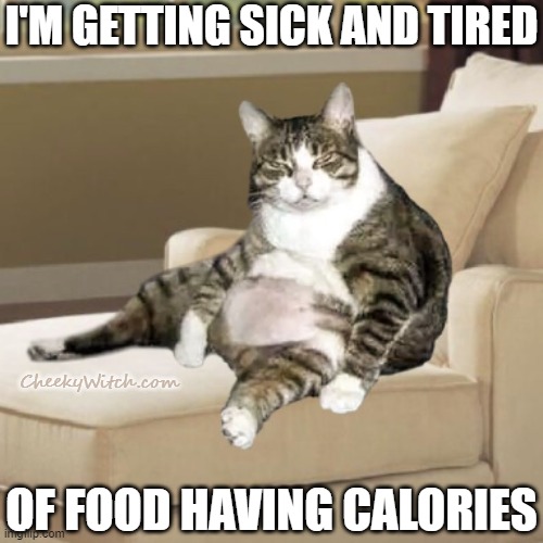 Sick and tired of food having calories! | I'M GETTING SICK AND TIRED; CheekyWitch.com; OF FOOD HAVING CALORIES | image tagged in cat,dieting,fat cat | made w/ Imgflip meme maker