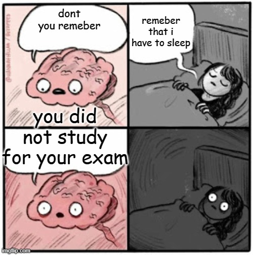 -.- | remeber that i have to sleep; dont you remeber; you did not study for your exam | image tagged in brain before sleep | made w/ Imgflip meme maker