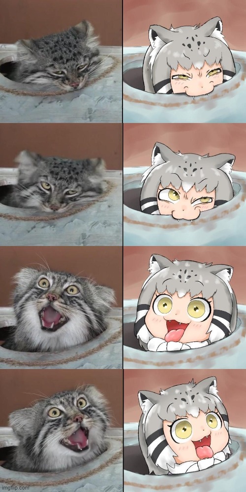 This is just too cute xD | image tagged in furry,cat,kitty,cute | made w/ Imgflip meme maker