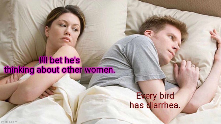 Dirty birds. | I'll bet he's thinking about other women. Every bird has diarrhea. | image tagged in memes,i bet he's thinking about other women,funny | made w/ Imgflip meme maker