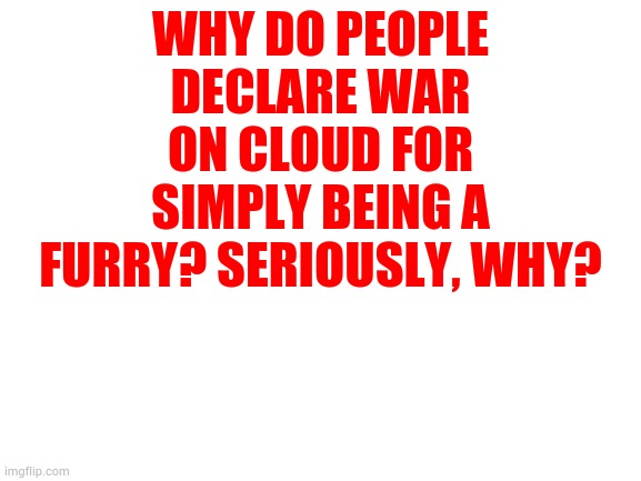 Blank White Template | WHY DO PEOPLE DECLARE WAR ON CLOUD FOR SIMPLY BEING A FURRY? SERIOUSLY, WHY? | image tagged in blank white template | made w/ Imgflip meme maker