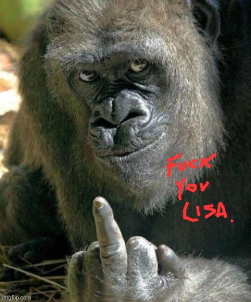 gorilla middle finger | image tagged in gorilla middle finger | made w/ Imgflip meme maker