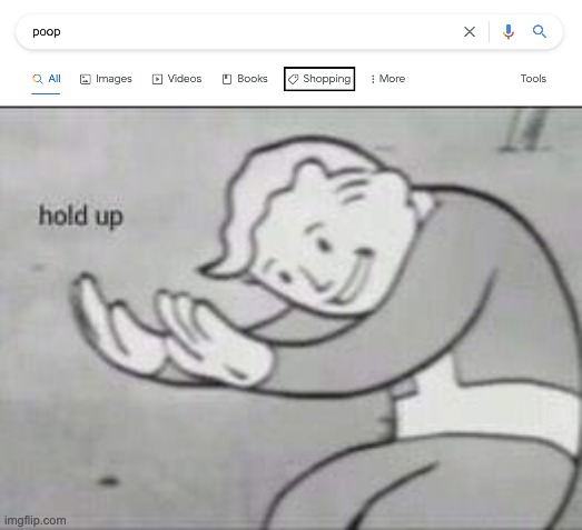 um hello google is this a mistake | image tagged in fallout hold up,poop | made w/ Imgflip meme maker