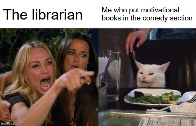 E | The librarian; Me who put motivational books in the comedy section | image tagged in memes,woman yelling at cat | made w/ Imgflip meme maker