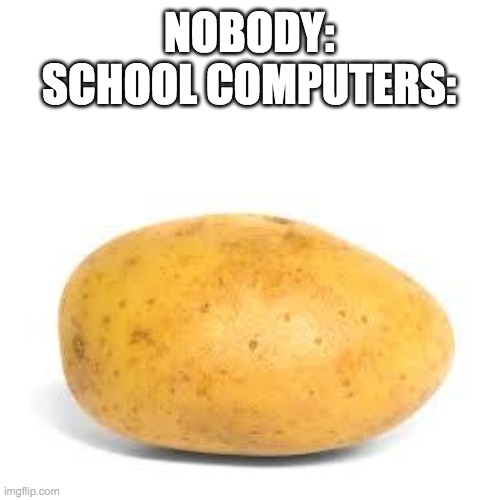 Potato | NOBODY:
SCHOOL COMPUTERS: | image tagged in potato | made w/ Imgflip meme maker