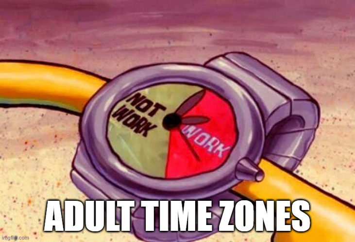 Growing up sucks | ADULT TIME ZONES | image tagged in adulting | made w/ Imgflip meme maker