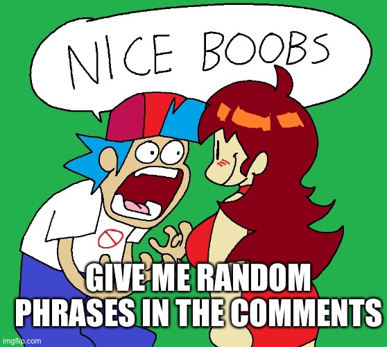 Nice boobs | GIVE ME RANDOM PHRASES IN THE COMMENTS | image tagged in nice boobs | made w/ Imgflip meme maker