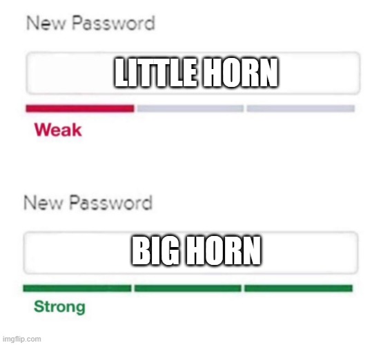 new password | LITTLE HORN; BIG HORN | image tagged in new password | made w/ Imgflip meme maker
