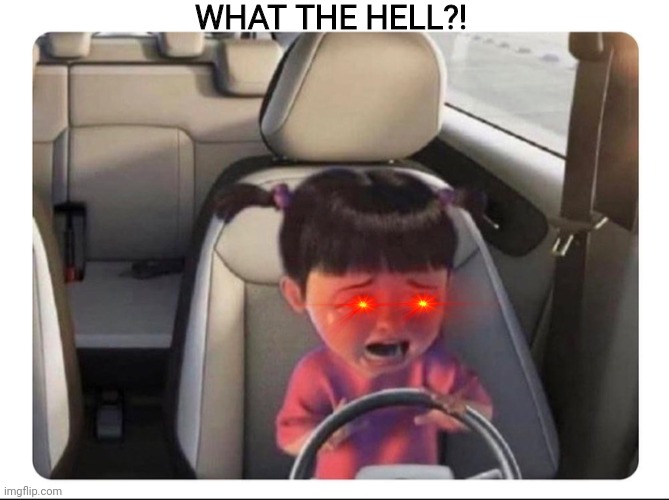 Crying Boo Driving | WHAT THE HELL?! | image tagged in crying boo driving | made w/ Imgflip meme maker