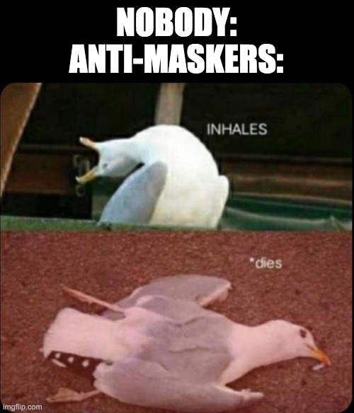 inhales dies bird | NOBODY:
ANTI-MASKERS: | image tagged in inhales dies bird | made w/ Imgflip meme maker