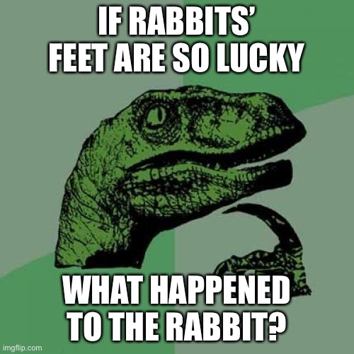 lol | IF RABBITS’ FEET ARE SO LUCKY; WHAT HAPPENED TO THE RABBIT? | image tagged in memes,philosoraptor,dark humor,rabbit,funny | made w/ Imgflip meme maker