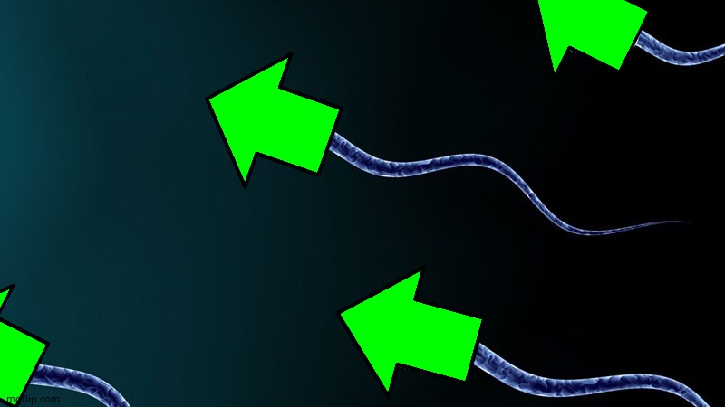 Sperm upvote | image tagged in memes,meme comments | made w/ Imgflip meme maker