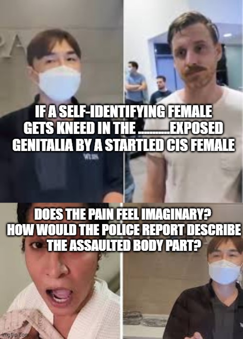 Non-imaginary pain | IF A SELF-IDENTIFYING FEMALE GETS KNEED IN THE ...........EXPOSED GENITALIA BY A STARTLED CIS FEMALE; DOES THE PAIN FEEL IMAGINARY? 

HOW WOULD THE POLICE REPORT DESCRIBE THE ASSAULTED BODY PART? | image tagged in imagination,pain | made w/ Imgflip meme maker
