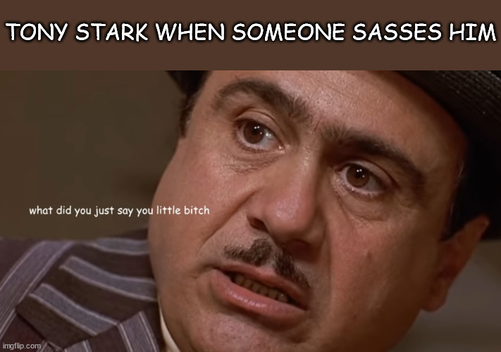 Tony Stark |  TONY STARK WHEN SOMEONE SASSES HIM | image tagged in tony stark,danny devito,sassy | made w/ Imgflip meme maker