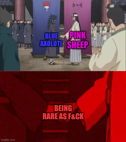 Minecraft mobs | PINK SHEEP; BLUE AXOLOTL; BEING RARE AS F&CK | image tagged in naruto handshake meme template | made w/ Imgflip meme maker