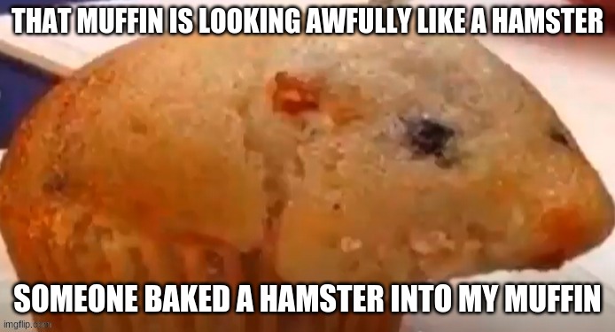 that muffin is looking awfully like a hamster someone baked a hamster into my muffin | THAT MUFFIN IS LOOKING AWFULLY LIKE A HAMSTER; SOMEONE BAKED A HAMSTER INTO MY MUFFIN | made w/ Imgflip meme maker