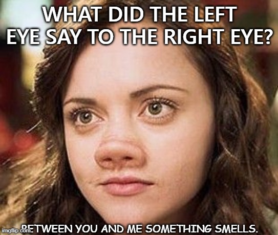 Daily Bad Dad Joke July 3 2021 | WHAT DID THE LEFT EYE SAY TO THE RIGHT EYE? BETWEEN YOU AND ME SOMETHING SMELLS. | image tagged in piggy | made w/ Imgflip meme maker