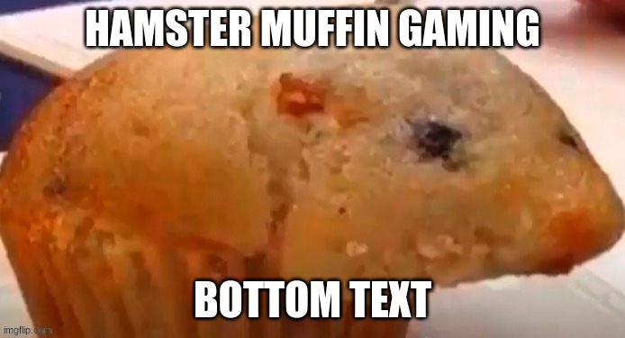 Image Title | HAMSTER MUFFIN GAMING; BOTTOM TEXT | image tagged in image tags | made w/ Imgflip meme maker