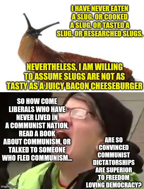 So is it drugs? Brainwashing? Mental injuries? What causes this mindset??!!?? | I HAVE NEVER EATEN A SLUG. OR COOKED A SLUG. OR TASTED A SLUG. OR RESEARCHED SLUGS. NEVERTHELESS, I AM WILLING TO ASSUME SLUGS ARE NOT AS TASTY AS A JUICY BACON CHEESEBURGER; SO HOW COME LIBERALS WHO HAVE NEVER LIVED IN A COMMUNIST NATION, READ A BOOK ABOUT COMMUNISM, OR TALKED TO SOMEONE WHO FLED COMMUNISM... ARE SO CONVINCED COMMUNIST DICTATORSHIPS ARE SUPERIOR TO FREEDOM LOVING DEMOCRACY? | image tagged in slug life,college liberal,communism,democracy | made w/ Imgflip meme maker