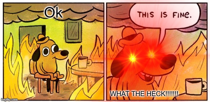 THIS IS FINE MEME | Ok; WHAT THE HECK!!!!!!! | image tagged in cool,this is fine dog,fire,house,hotel,haunted house | made w/ Imgflip meme maker