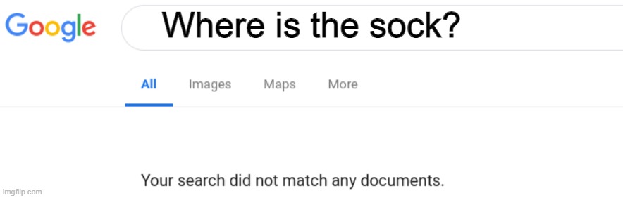 Google No Results | Where is the sock? | image tagged in google no results | made w/ Imgflip meme maker