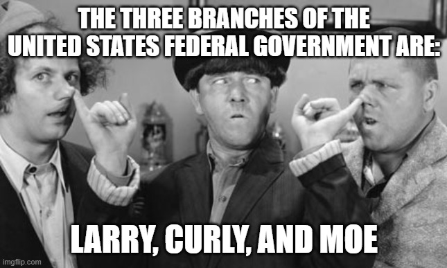 But What Do You Call An American Citizen Enthralled To Their Own Most Basic Biological Imperatives? | THE THREE BRANCHES OF THE UNITED STATES FEDERAL GOVERNMENT ARE:; LARRY, CURLY, AND MOE | image tagged in memes three stooges,us government,legislate,executive,judicial,three branches | made w/ Imgflip meme maker