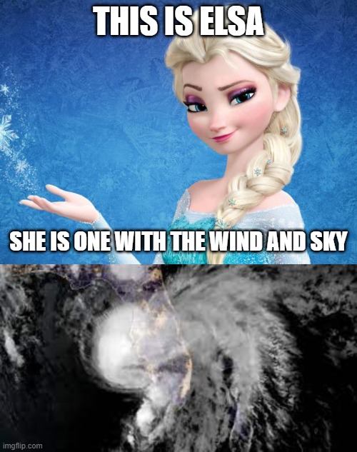 I am one with the wind and sky! | THIS IS ELSA; SHE IS ONE WITH THE WIND AND SKY | image tagged in elsa frozen | made w/ Imgflip meme maker