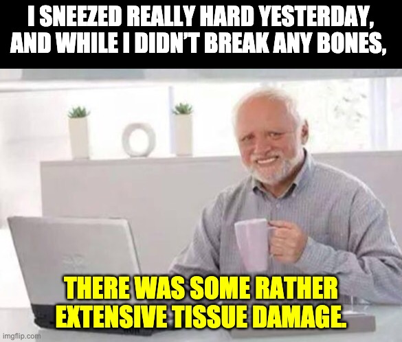 Achooo | I SNEEZED REALLY HARD YESTERDAY, AND WHILE I DIDN’T BREAK ANY BONES, THERE WAS SOME RATHER EXTENSIVE TISSUE DAMAGE. | image tagged in harold | made w/ Imgflip meme maker